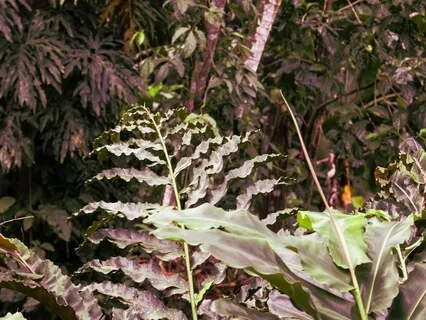 Box Breath Meditation For Calm & Reset