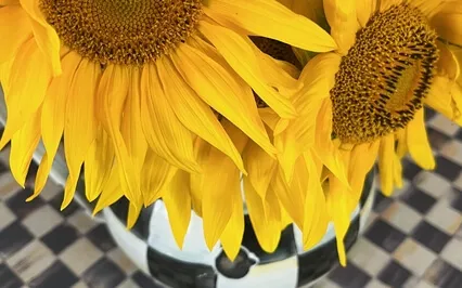 Box Breath To Ground 