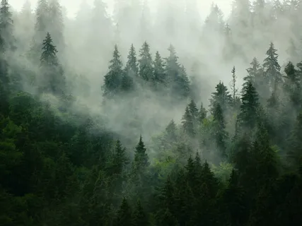 Box Breathing, 4 Count