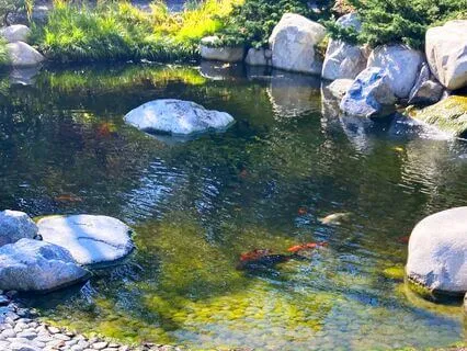 Box Breathing For Anxiety - 5 Minutes