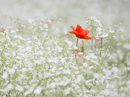 Box Breathing For Anxiety Relief
