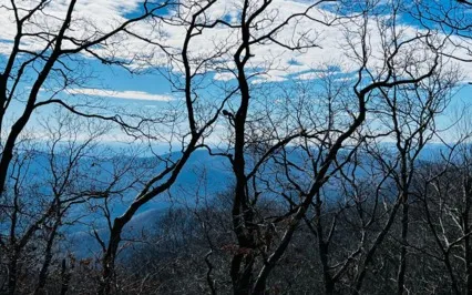 Box Breathing For Beginners