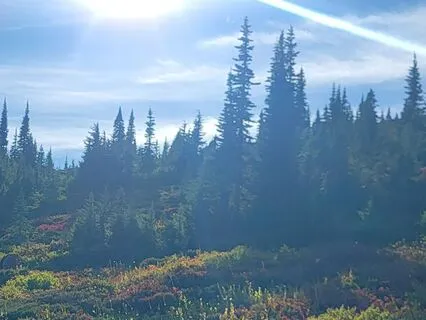 Box Breathing For Calm