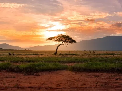 Box Breathing For Resilience