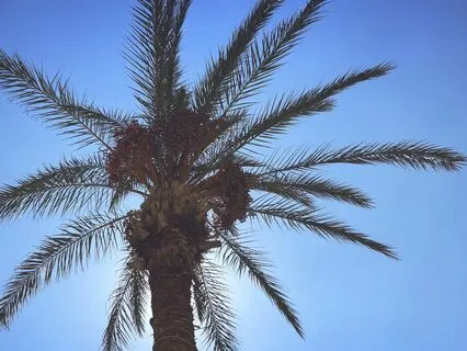 Box Breathing Instrumental