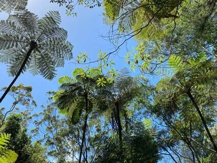 Box Breathing Meditation
