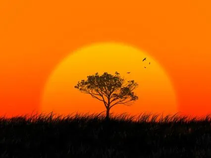 Box Breathing (No Counting Or Introduction)