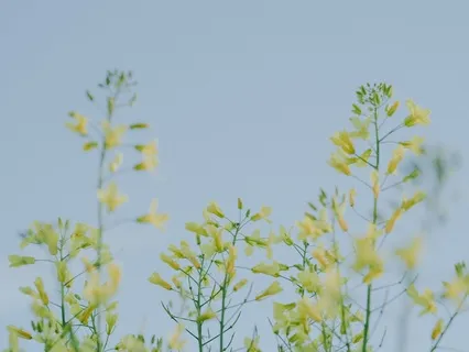 Box Breathing To Release Stress