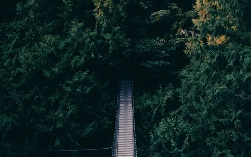 Box Breathing To Reset Your Busy Day