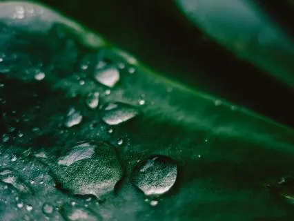 Box Breathing (With Music)