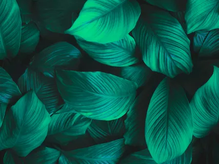 Box Breathing - Focus And Concentration