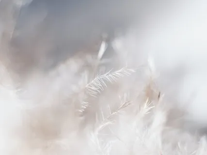 Божественная Женственность