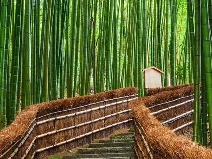 Brahmacharya Isn’t About Suppression — It’s About Power