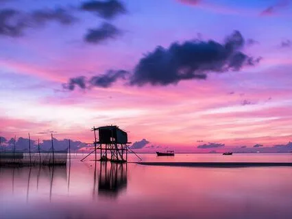 Brain-Boosting Study Music | Improve Memory & Calm