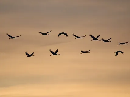 Brain Drain | Meditative Soundscape | 3 Hertz