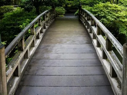 Brain Integration: A Journey Between Hemispheres