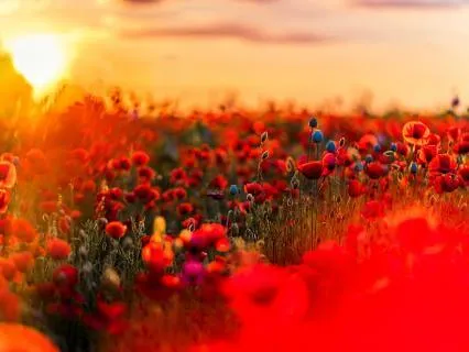 Brain Integration- Positive Affirmations Improve Memory