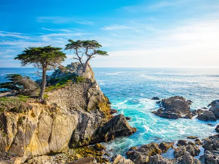 Brain Magic Body Scan 1