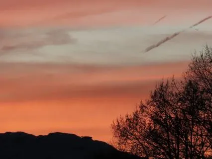 Brain Relaxation Sleep Meditation