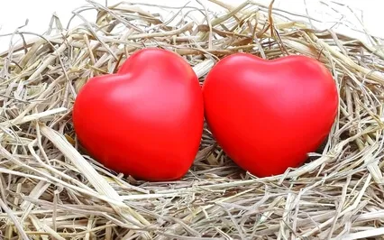 Brain Retraining- From Longing To Belonging