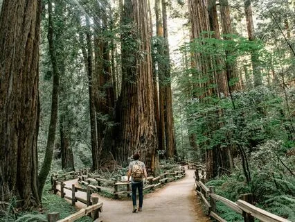 Brain Retraining Guidance For Health & Happiness