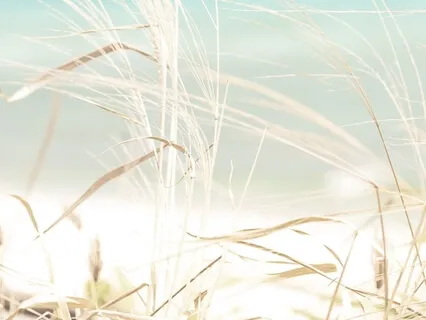 Brain Retraining- Turning Towards Fear And Anxiety