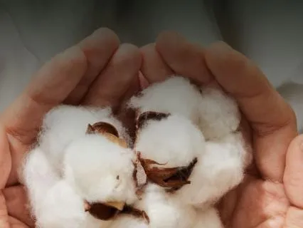 Brain Swaddle To Soothe The Restless Mind