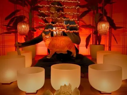 Brain Tingles Crystal Singing Bowl Sound Bath