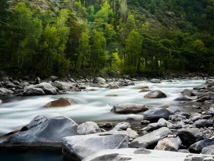 Brain Vacation- Mountain River