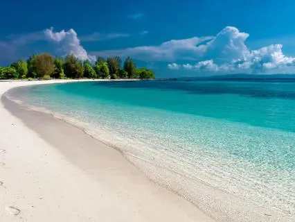 Brain Vacation: Take A Beach Walk With Me