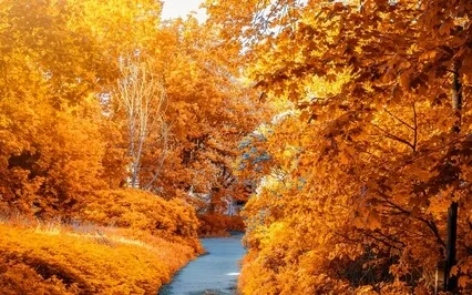 Brain Waves - Brain Potential