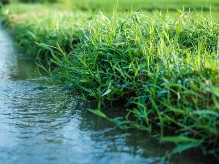 Brainwave Bath: 285Hz Solfeggio Rain Series