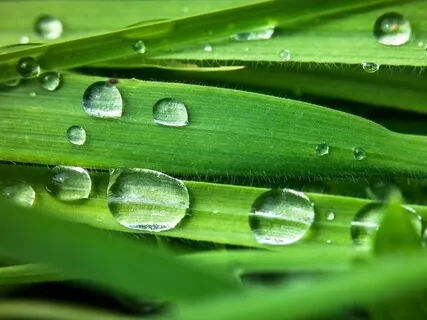 Brainwave Bath: FA 639Hz Solfeggio Rain Series