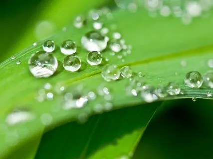 Brainwave Bath: LA 852Hz Solfeggio Rain Series