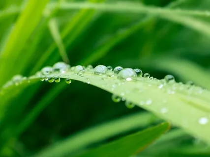 Brainwave Bath: SOL 741Hz Solfeggio Rain Series