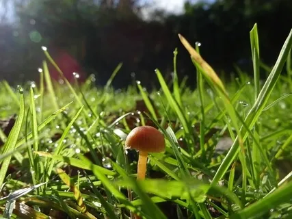 Brainwave Bath: UT 396Hz Solfeggio Rain Series