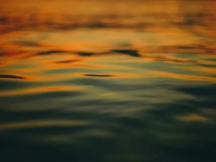 Braunes Rauschen Braunes Rauschen Pur