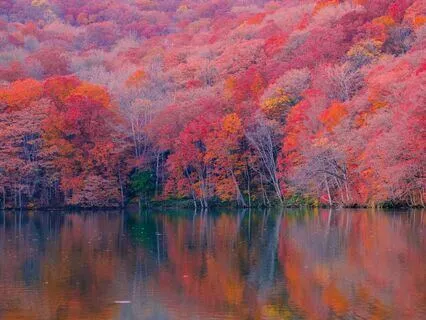 Brave And Grounded: Moving Through Fear With Strength