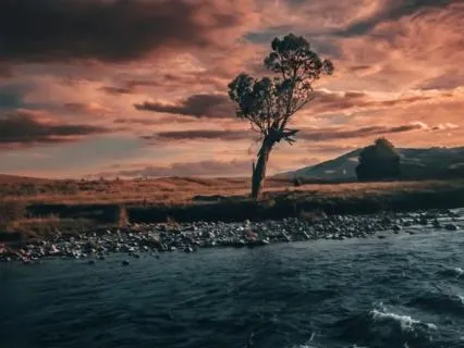 Brave You - Without You