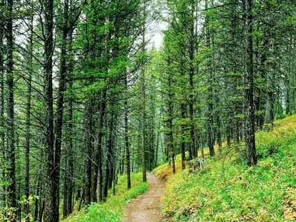 Break Free From Analysis Paralysis: Achieve Your Goals