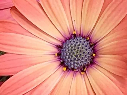 Break Free From Fear: Discover Your Inner Courage