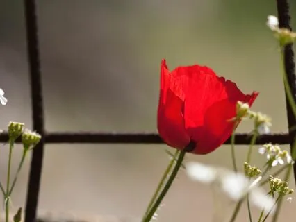 Break Free From Intrusive Thoughts