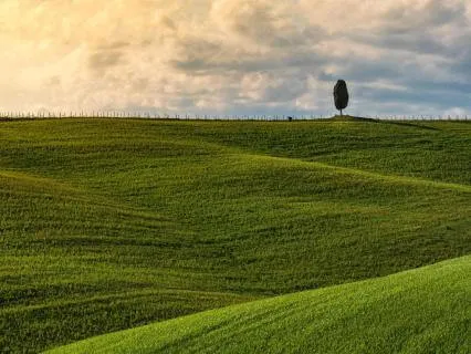 Break Free From Mental Traps - A Daily Practice With Nikhil