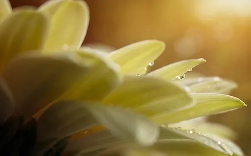 Break Free From Oppression: A Reading (Part 2)