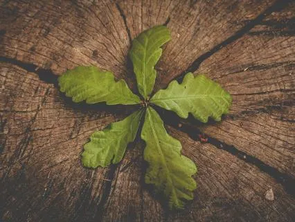 Break Free Of Trauma Bonds With This Meditation