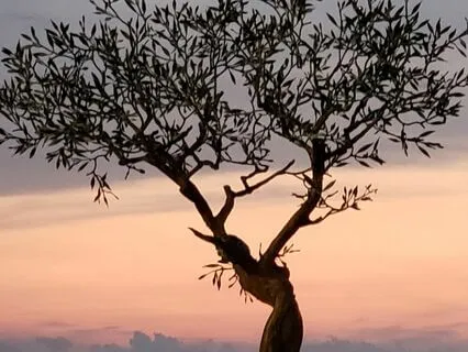 Break Free! Soar! Have Peace Even During Stressful Times.