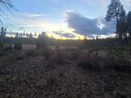 Break Glass - Immediate Drop In