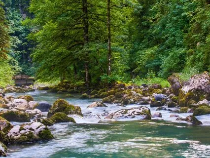 Break Old Habits And Create New Ones