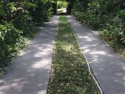 Break Soul Conracts For Inner Freedom