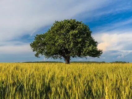 Break The Anxiety: Quick Stress Relief